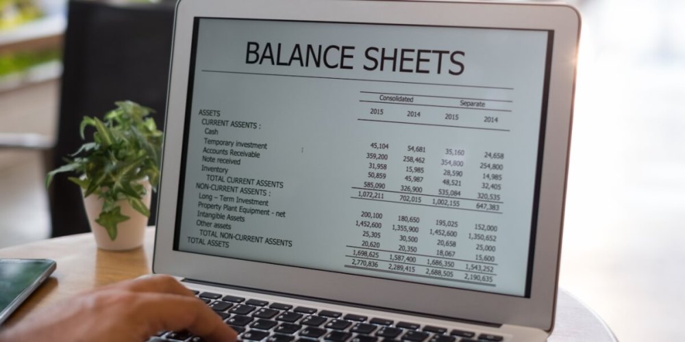 Image of a balance sheet on a computer.