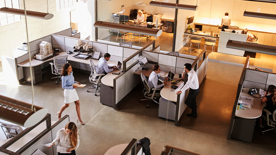 An image of a busy workplace with staff sitting on computers in cubicles, walking around the office and chatting with each other.