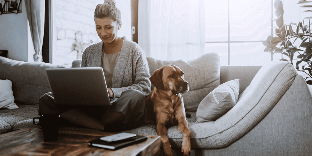 A woman sits at home working from her sofa, next to her dog, with a laptop on her lap.